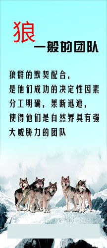 自制驱鸟煤kaiyun官方网站气炮(驱鸟煤气炮)